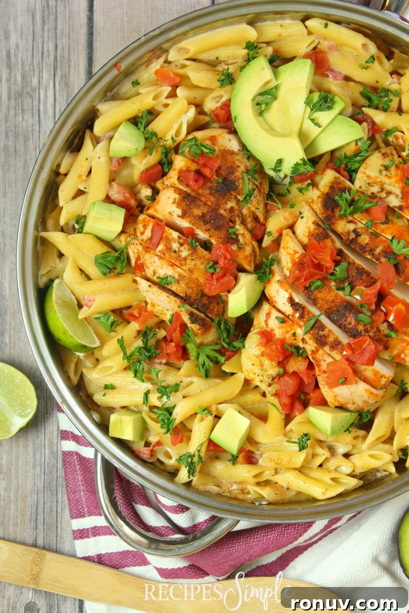 Creamy Chicken Taco Alfredo Pasta Recipe 5 Chicken Taco Alfredo Pasta Recipe