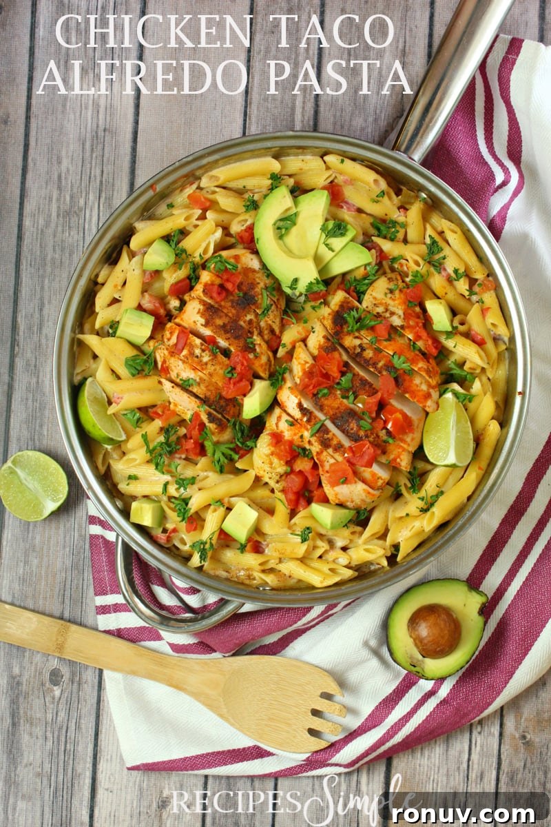Creamy Chicken Taco Alfredo Pasta Recipe 6 Chicken Taco Alfredo Pasta Dinner