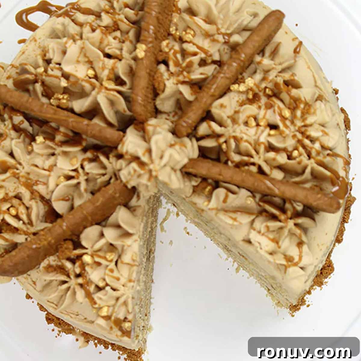 27 Moist Dairy Free Cake Recipes You Will Love 22 biscoff cake