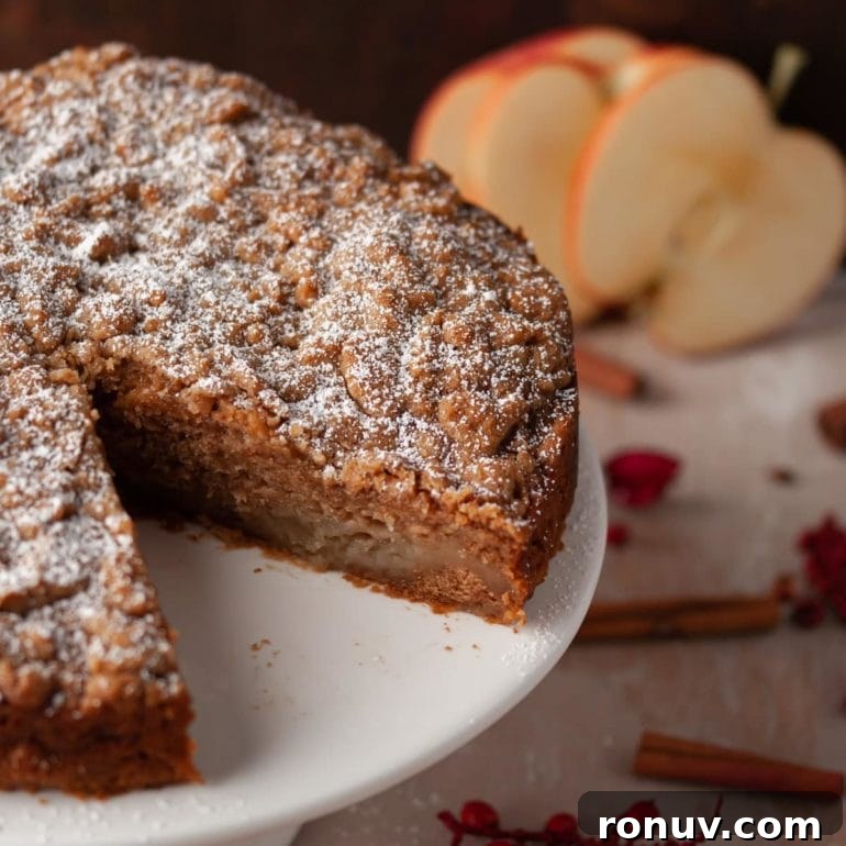 27 Moist Dairy Free Cake Recipes You Will Love 5 vegan apple cake