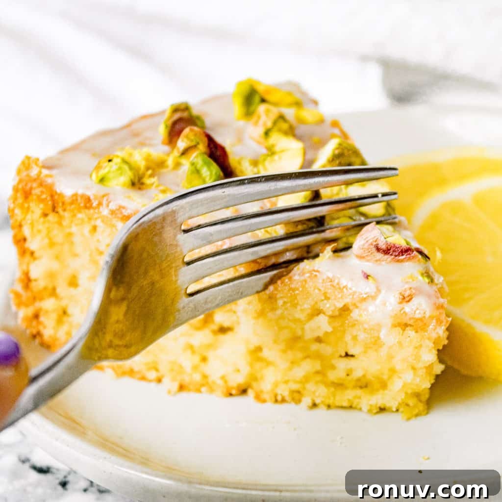 27 Moist Dairy Free Cake Recipes You Will Love 8 vegan olive oil cake with lemon and pistachio