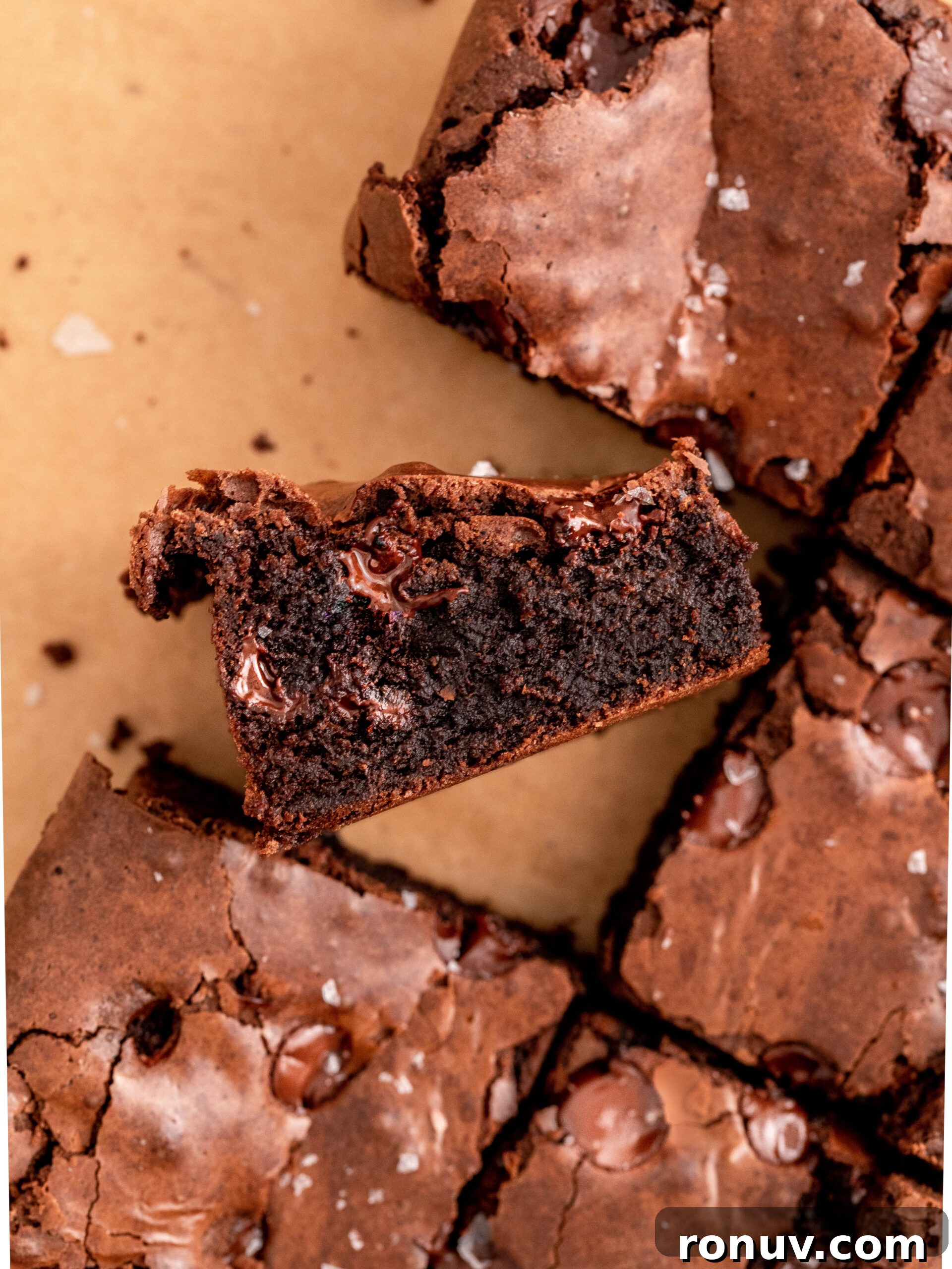 Small-Batch Fudgy Chocolate Brownies 2 Slice cut of the small batch brownies