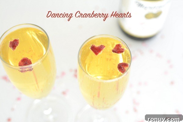 Dancing Cranberry Heart Cookies for Valentine's Day 2 dancing cranberry hearts | NoBiggie.net