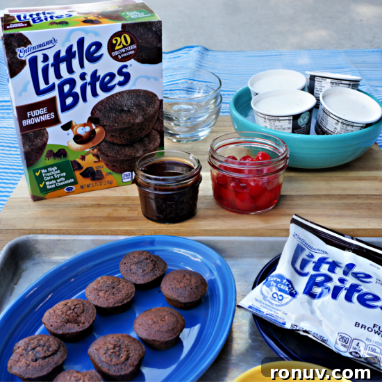 Enter to Win Entenmanns Little Bites Super Spongebash Sweepstakes 6 What toppings will you put on your Little Bites® Fudge Brownie ice cream sundae?#LoveLittleBites#Spongebash