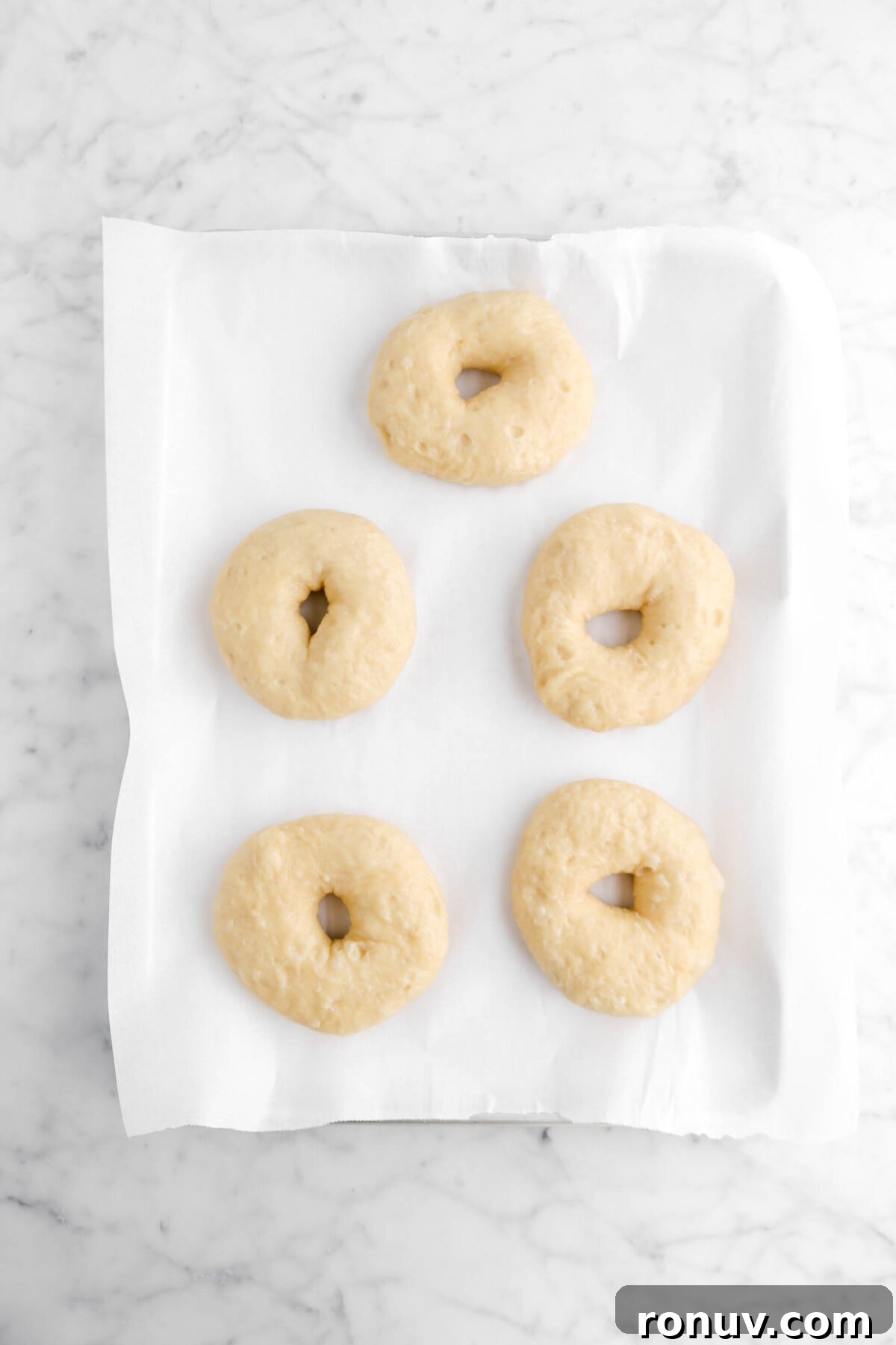 How to Make Sourdough Bagels at Home 7 boiled bagels on lined sheet pan