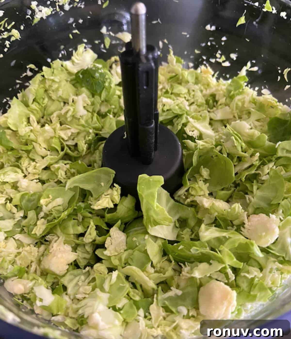 Shaved Brussels Sprouts Salad with Crispy Bacon 5 Shaved brussel sprouts in food processor.