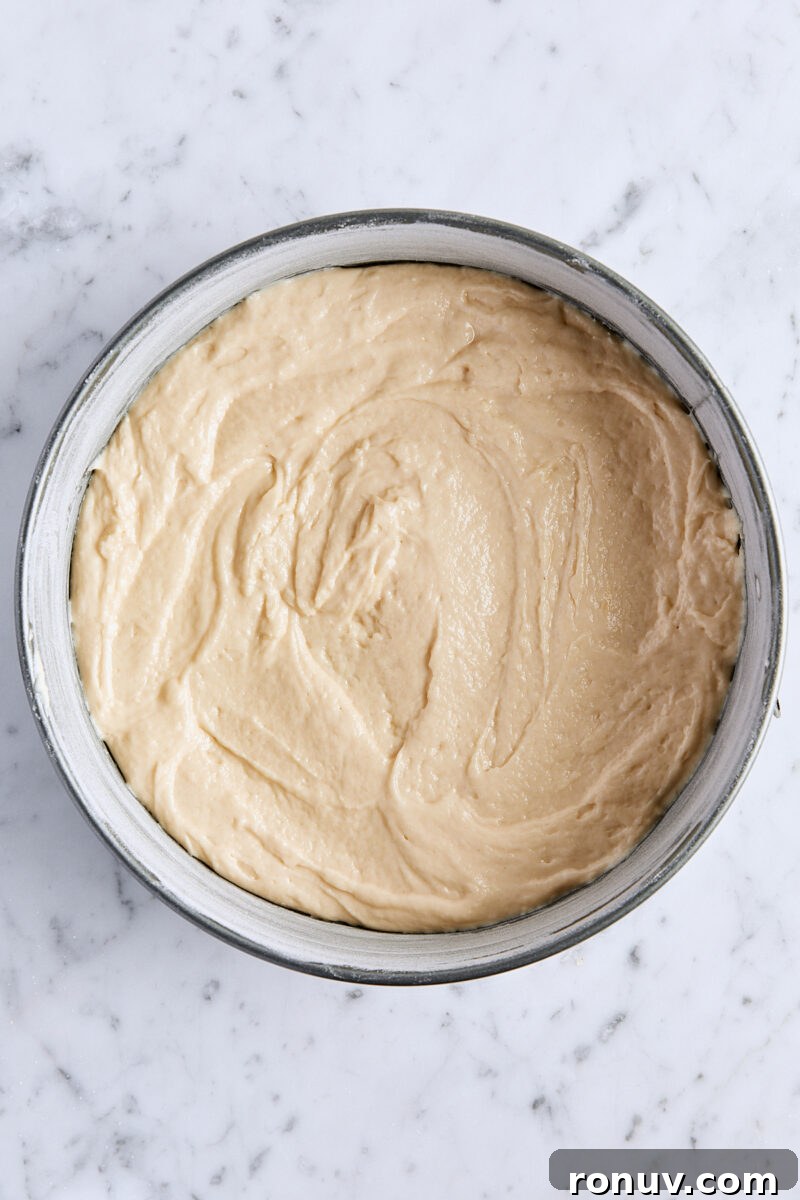 Moist Sour Cream Coffee Cake Recipe with Cinnamon Streusel 8 Half of the coffee cake batter in springform pan