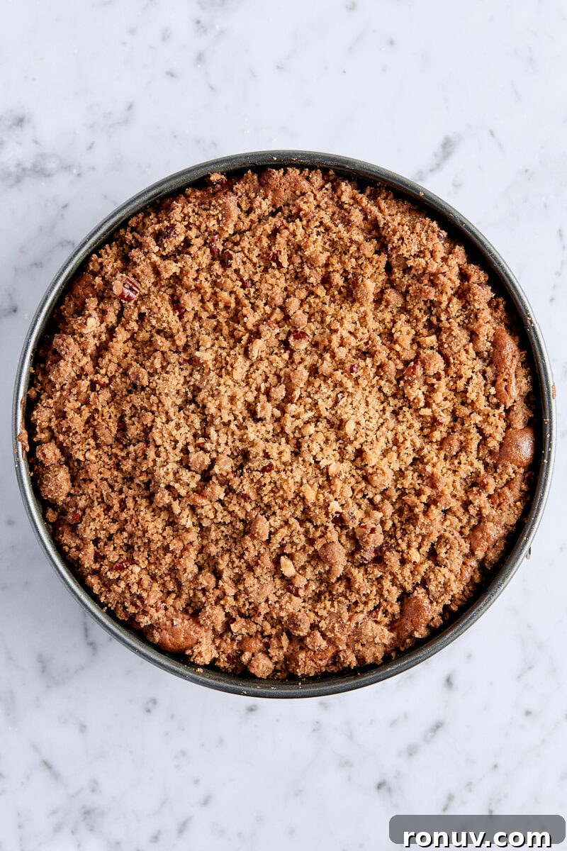 Moist Sour Cream Coffee Cake Recipe with Cinnamon Streusel 10 Baked coffee cake in springform pan