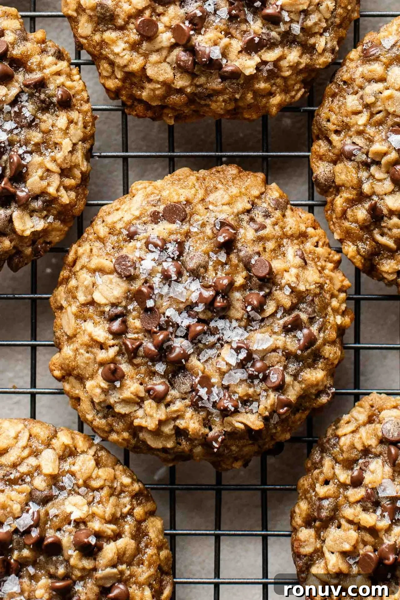 Soft Chewy Oatmeal Chocolate Chip Cookies 7 oatmeal chocolate chip cookies on wire rack