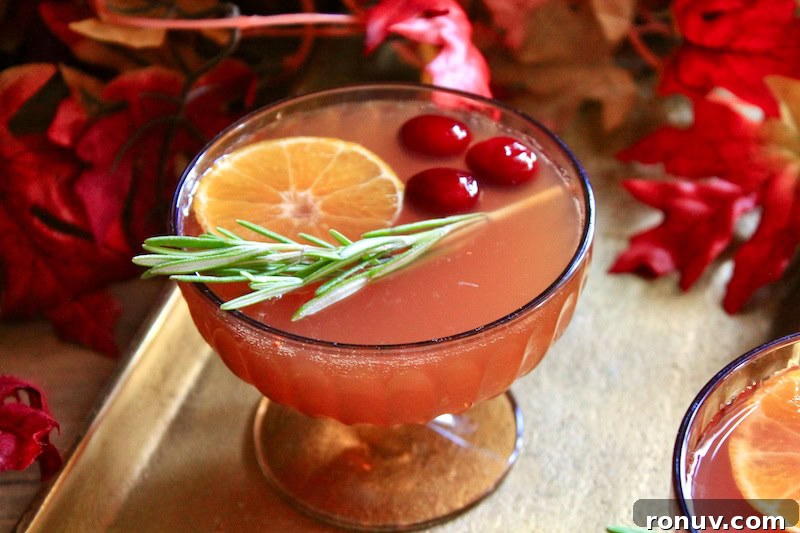 Golden Turkey Bourbon Cocktail Recipe for Thanksgiving 8 Ingredients for a cranberry apple bourbon cocktail