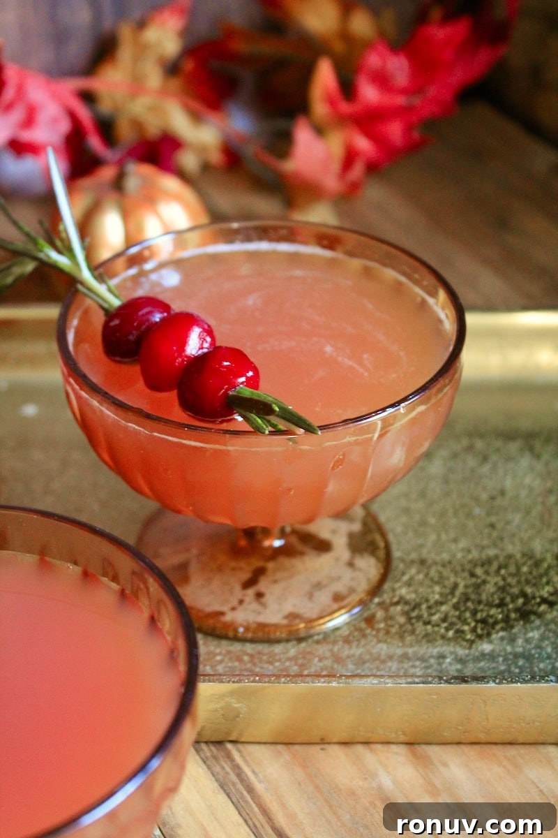 Golden Turkey Bourbon Cocktail Recipe for Thanksgiving 9 Step-by-step cocktail preparation