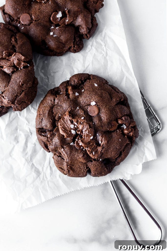 Chewy Double Chocolate Chip Cookies Recipe 3 double chocolate cookies