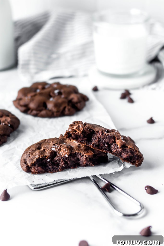 Chewy Double Chocolate Chip Cookies Recipe 4 cookies and milk
