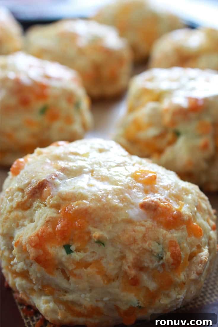 Mini Cheddar and Chive Irish Soda Bread Recipe 2 Baked cheddar and chive Irish soda bread biscuits.