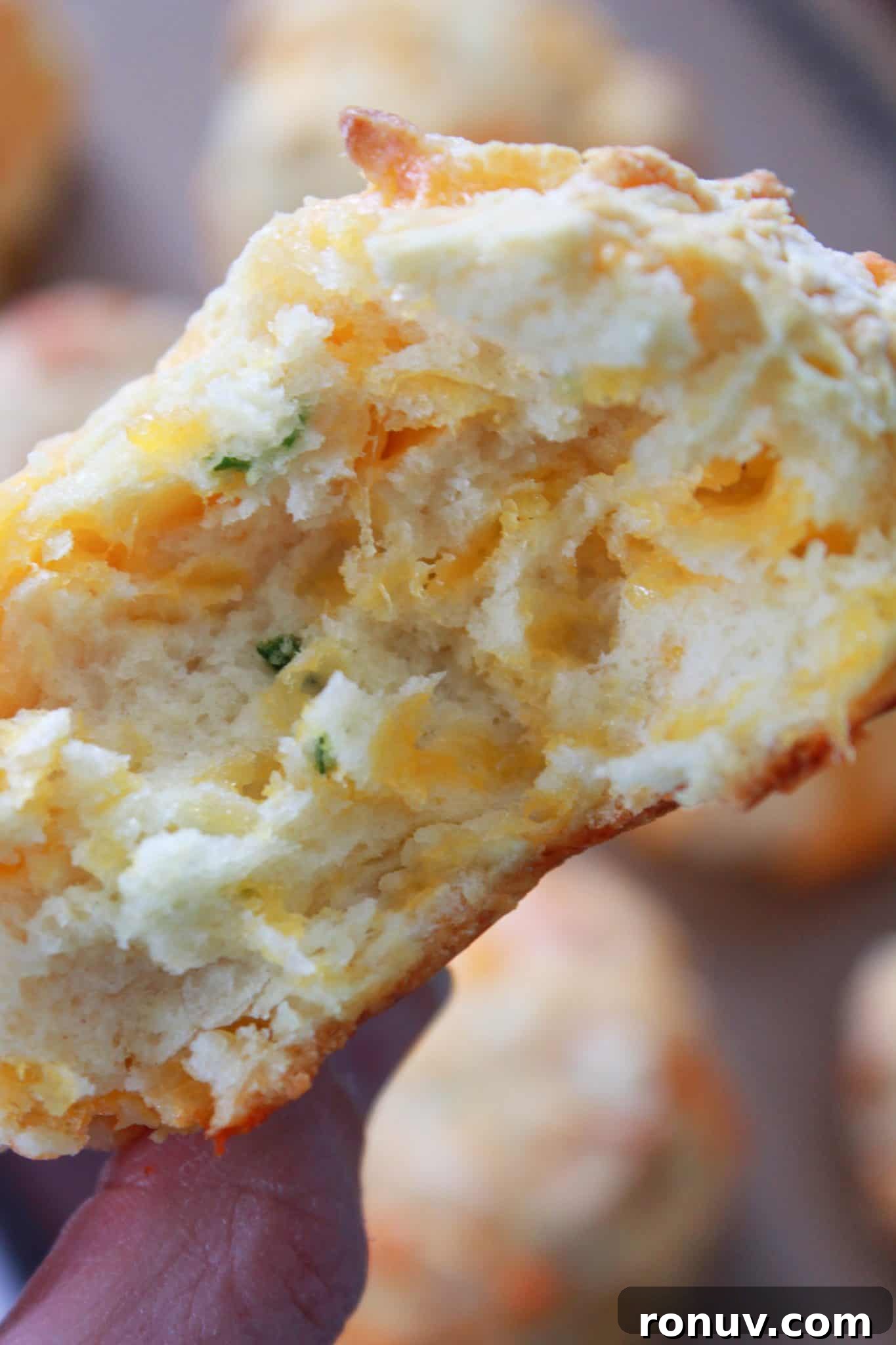 Mini Cheddar and Chive Irish Soda Bread Recipe 8 Looking at the inside of mini Irish soda breads with cheddar and chives.