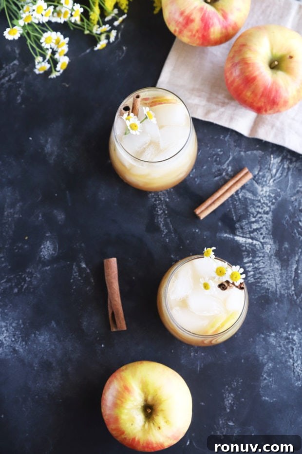 Apple Bourbon Smash Cocktail Recipe 3 Overhead photo of apple bourbon cocktails