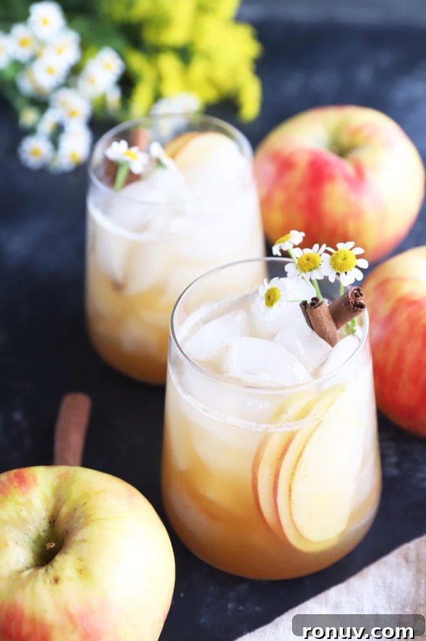 Apple Bourbon Smash Cocktail Recipe 5 Apple fall cocktails in glasses photo