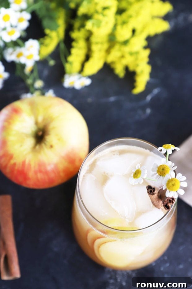 Apple Bourbon Smash Cocktail Recipe 7 Overhead photo of apple bourbon smash