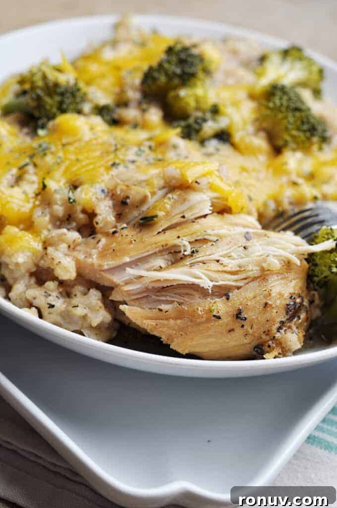 Creamy Slow Cooker Chicken Divan Recipe 2 Chicken Divan on a plate with cheese