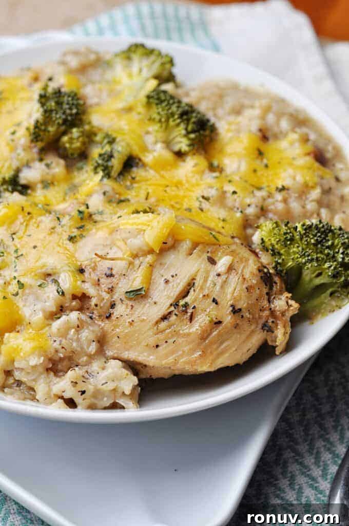 Creamy Slow Cooker Chicken Divan Recipe 4 Chicken Crock Pot Recipe with broccoli & rice