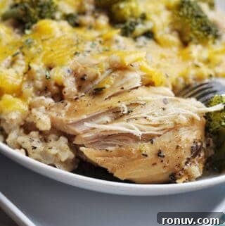 Creamy Slow Cooker Chicken Divan Recipe 5 Chicken Divan on a plate with cheese
