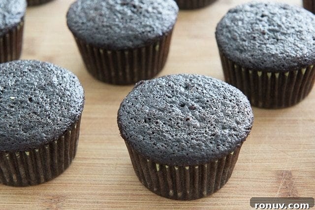 Chocolate Peanut Butter Cupcakes Recipe 10 Dark Chocolate Cupcakes - on Wooden Board Showing Moist Texture and Dark Color