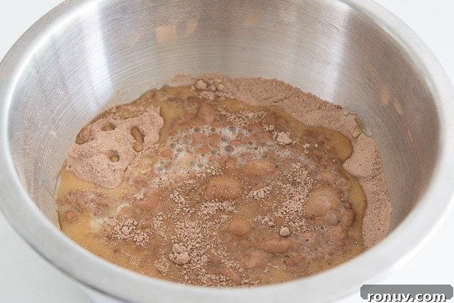 Chocolate Peanut Butter Cupcakes Recipe 7 Dry Cocoa Flour Mixture in Bowl Mixed with Wet Ingredients