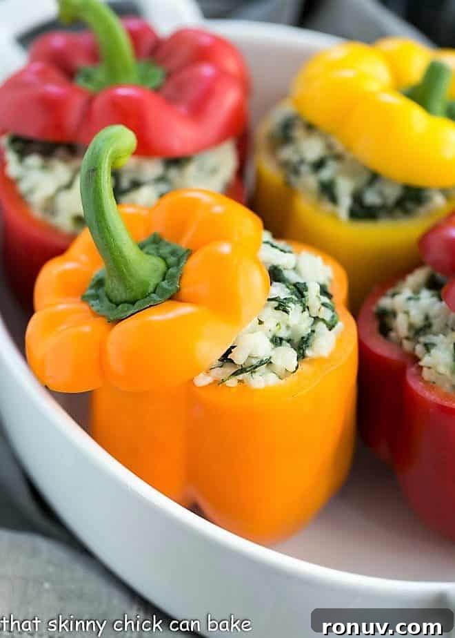 Cheese, Spinach and Rice Packed Peppers - a vegetarian stuffed pepper recipe with creamy rice, gooey nutty Gruyere, spinach and onions! Rice Packed Peppers ready for the oven in a white baking dish