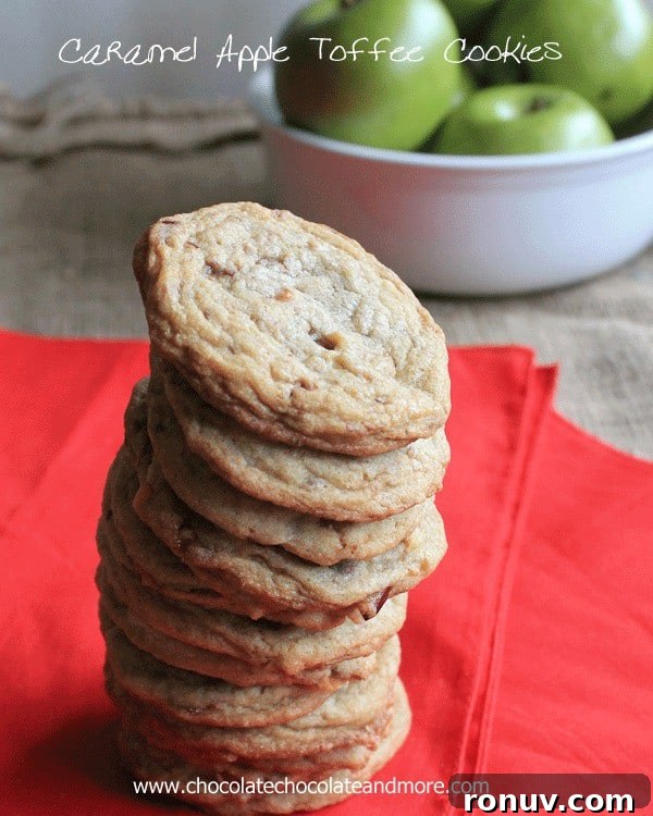 img 4091 7