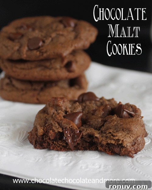 Chewy Caramel Apple Toffee Cookies Recipe 6 Chocolate malt Cookies with Chocolate Chips
