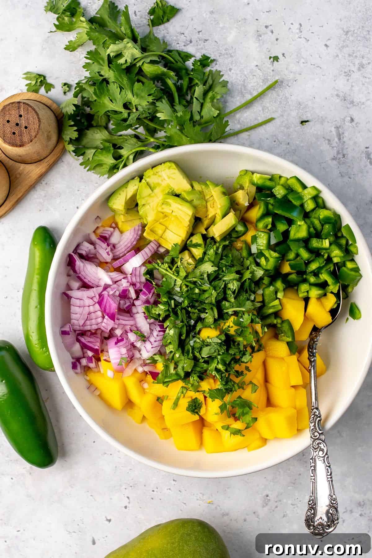 Zesty Mango and Avocado Salsa with Lime 4 Avocado, jalapeño and mango all piled up in a white bowl with cilantro.