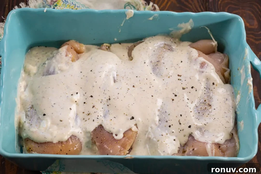 Oven-Baked Caesar Chicken Recipe with Creamy Dressing 4 Chicken before going in oven.