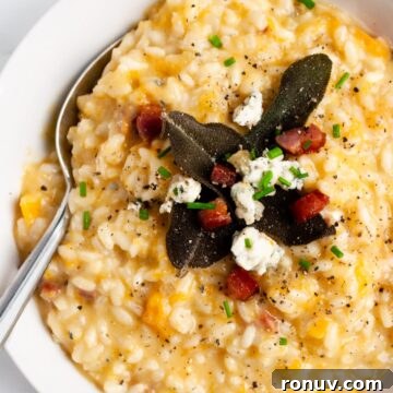 Butternut squash risotto