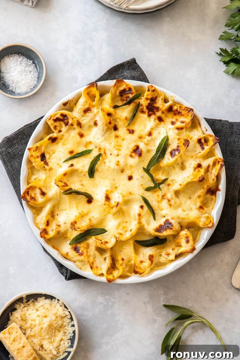 Creamy Pumpkin Ricotta Stuffed Shells Recipe 2 Overhead shot of baked pasta dish, sitting on dark grey cloth.
