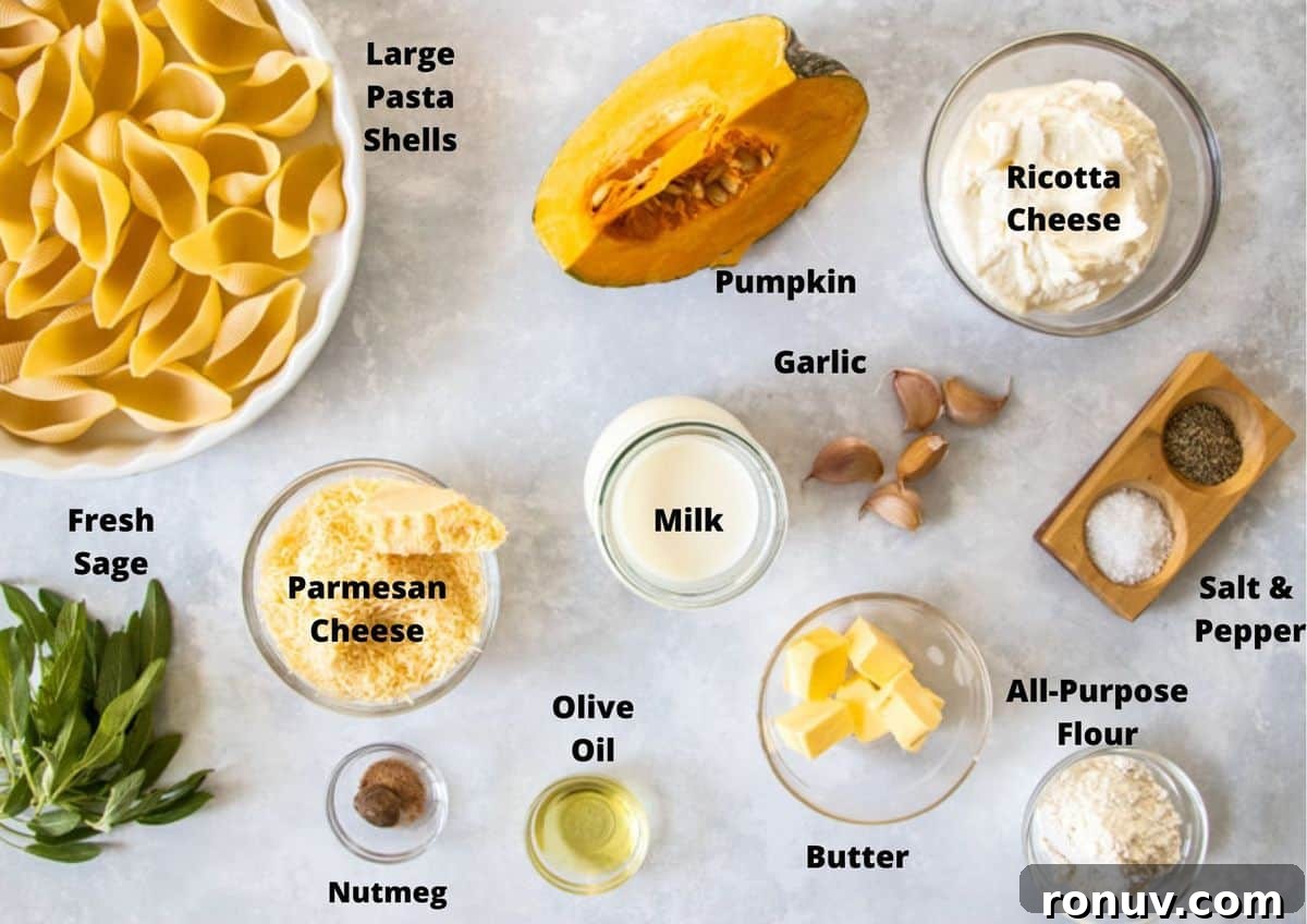 Creamy Pumpkin Ricotta Stuffed Shells Recipe 3 Ingredients in this recipe on a white and grey background.