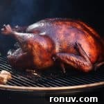 How to Smoke a Turkey on a Kamado Joe 5 kamado joe smoked turkey
