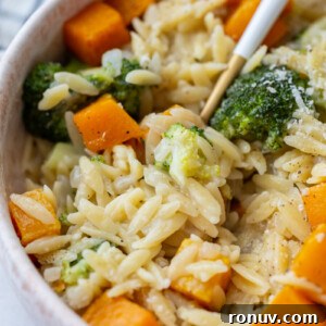 bowl filled with cheesy orzo pasta and topped with butternut squash cubes and broccoli with a fork in the side of the bowl