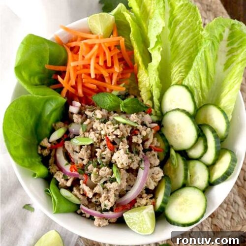Thai Larb Gai (Chicken Larb) Recipe 7 Birds eye view of a bowl filled with larb