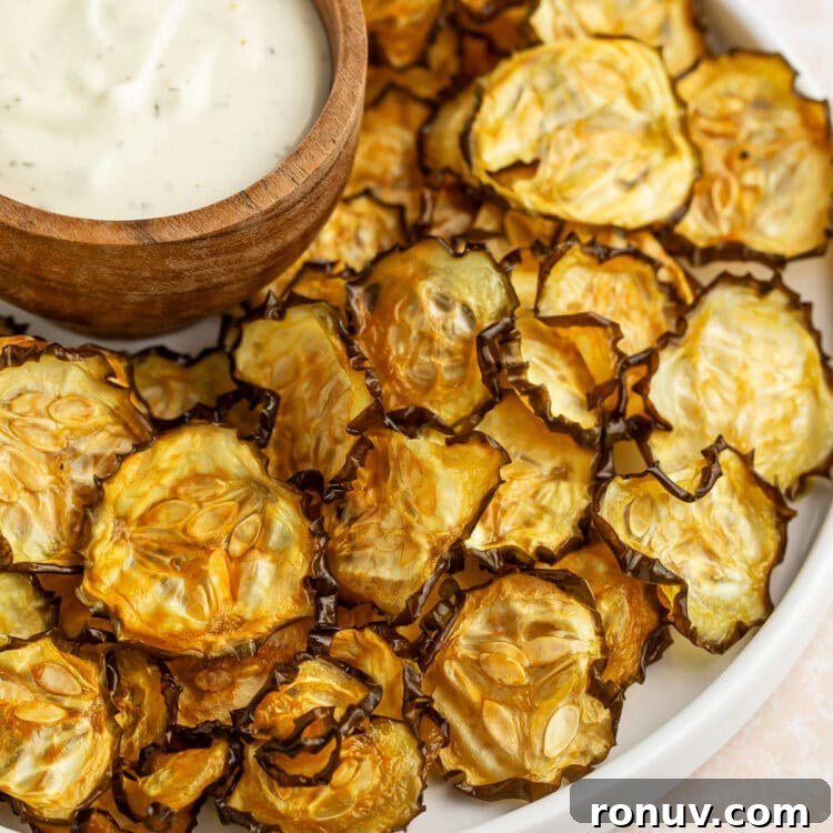 Crispy Oven-Baked Cucumber Chips Recipe 4 Crispy cucumber chips arranged around a bowl of ranch dressing on a large rimmed plate.