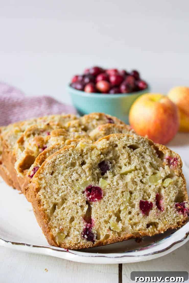 Moist Cranberry Apple Bread Recipe 3 Sliced bread filled with chunks of apples and cranberries.