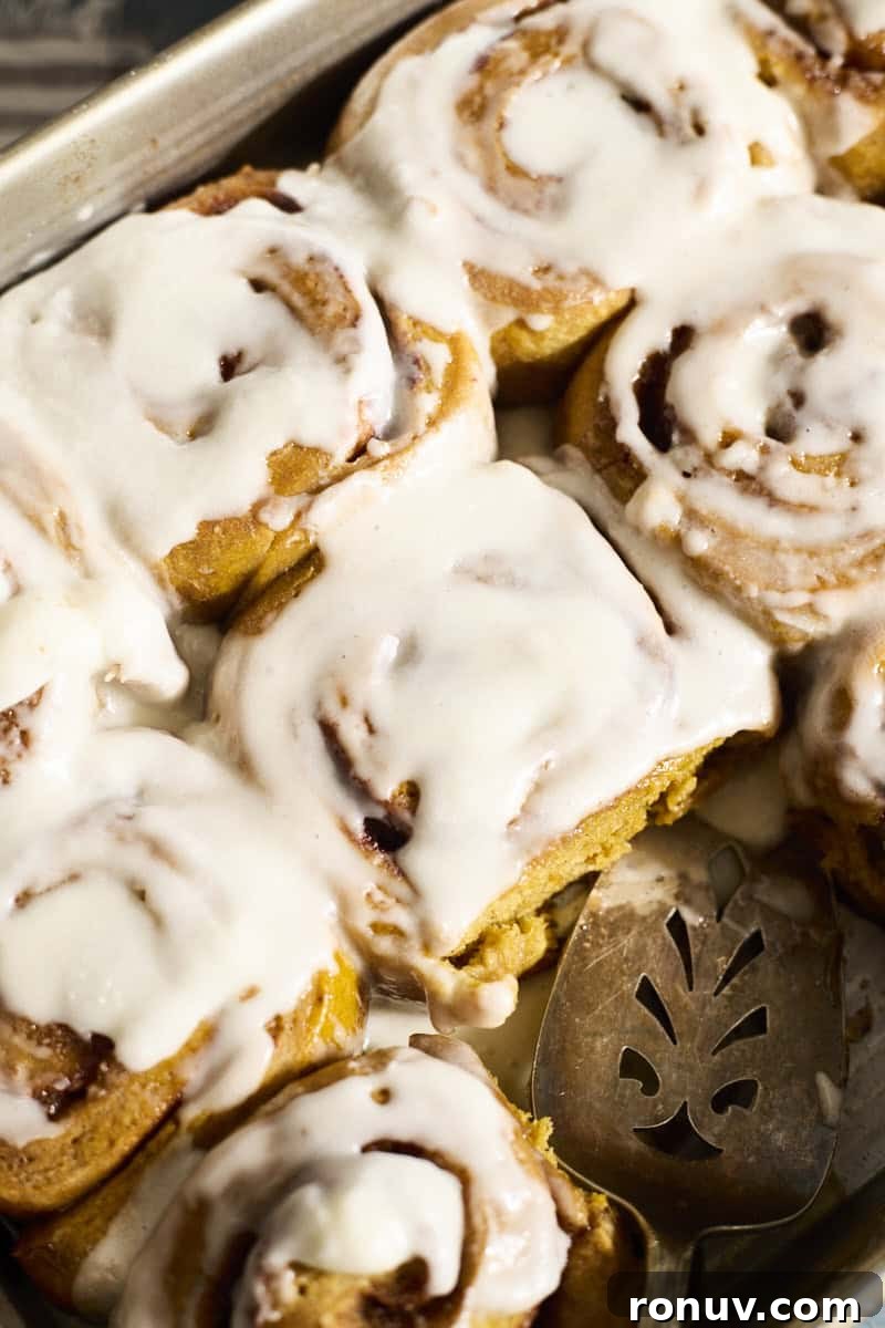Pumpkin Cinnamon Rolls Recipe with Sourdough Discard 11 A closeup of Sourdough Discard Pumpkin Cinnamon Rolls.