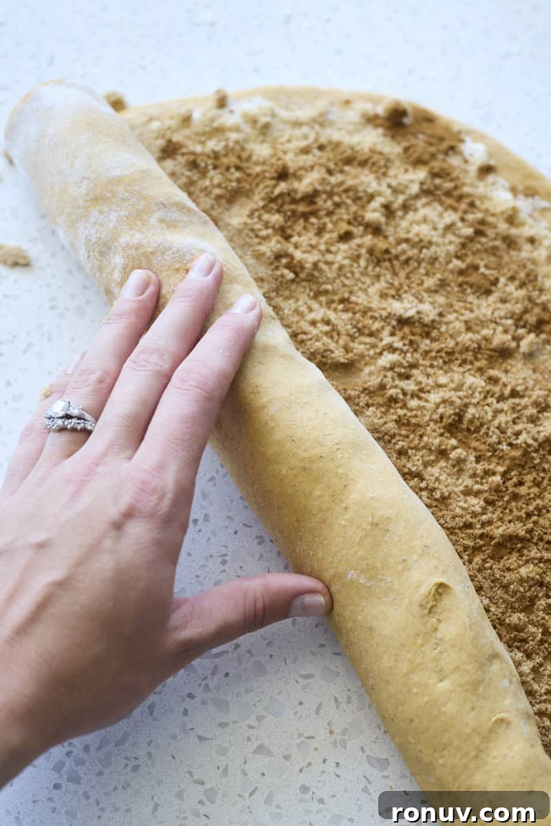 Pumpkin Cinnamon Rolls Recipe with Sourdough Discard 8 A hand rolling the dough into a long log.