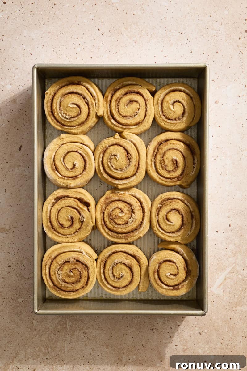 Pumpkin Cinnamon Rolls Recipe with Sourdough Discard 10 Sourdough Discard Pumpkin Cinnamon Rolls ready to bake in the pan.