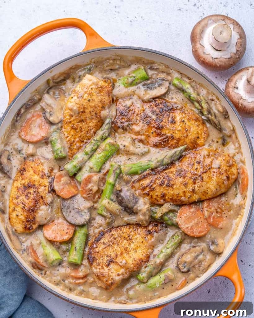 Chicken Fricassee Recipe with Mushrooms and White Wine 2 Top view of chicken fricassee in pan