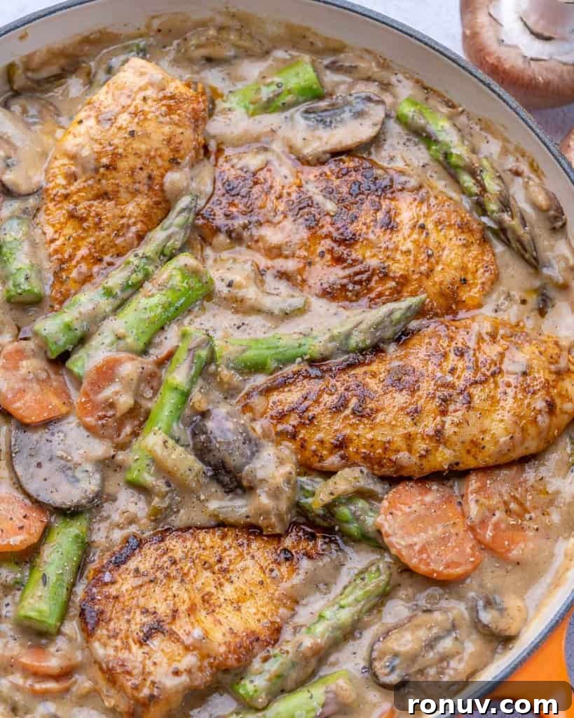 Chicken Fricassee Recipe with Mushrooms and White Wine 3 Chicken in pan with asparagus, celery, carrots, mushrooms, and other ingredients