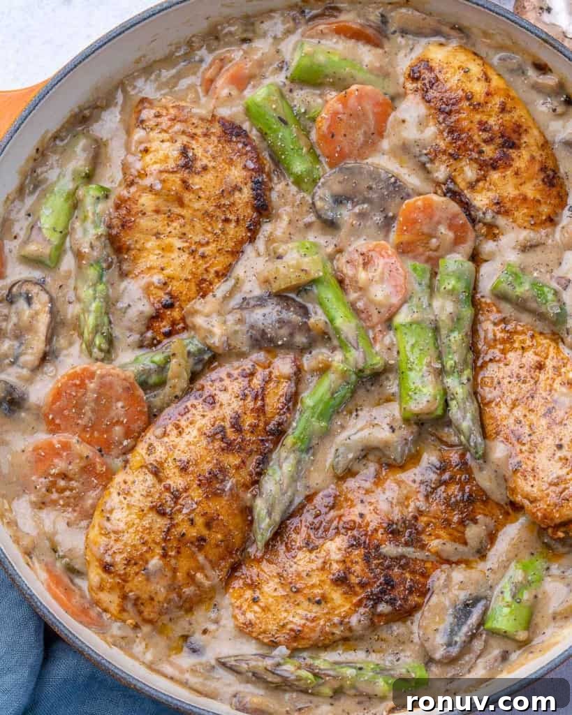 Chicken Fricassee Recipe with Mushrooms and White Wine 8 top view chicken fricassee in a pan