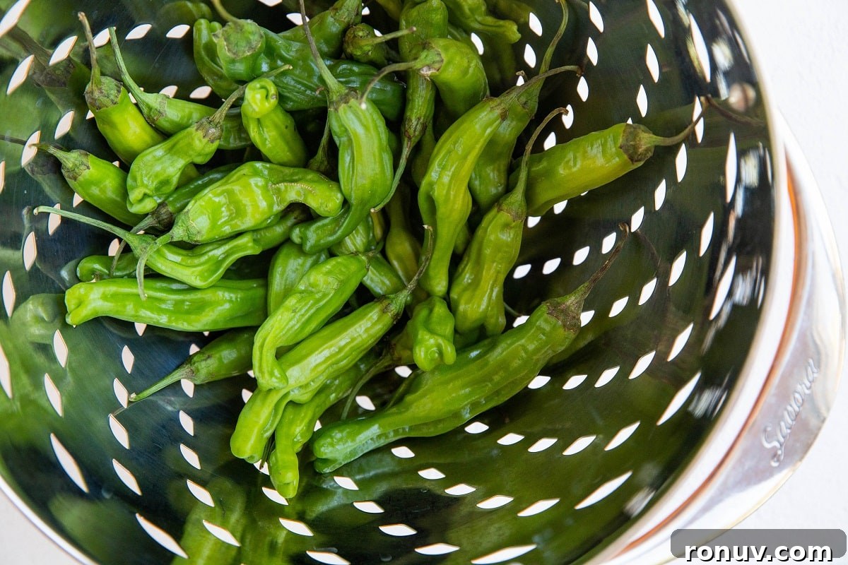 Blistered Shishito Peppers with Garlic Butter 4 raw shishito peppers in a collander
