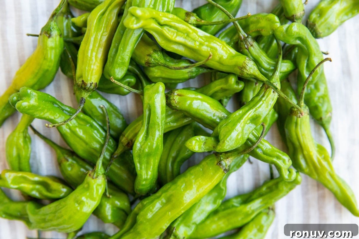 Blistered Shishito Peppers with Garlic Butter 6 shishito peppers on a kitchen towel