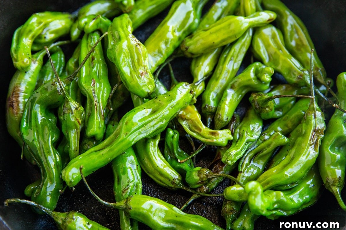 Blistered Shishito Peppers with Garlic Butter 7 Cast iron skillet full of shishito peppers, cooking to be blistered.