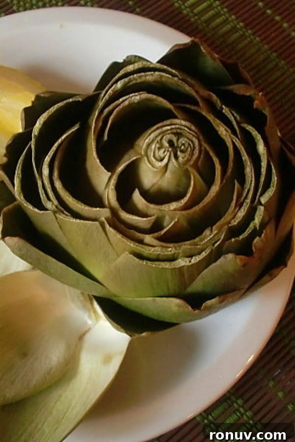 How to Cook Artichokes in the Microwave 20 cooked artichoke